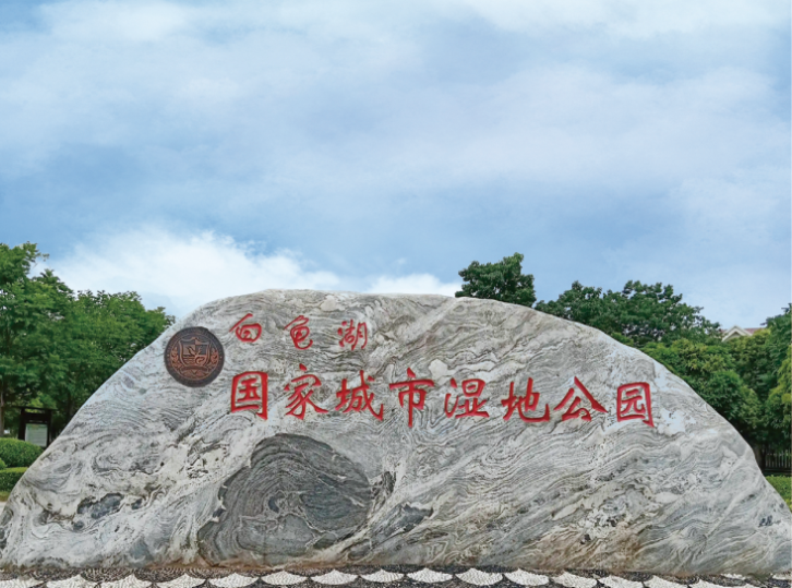 以湖为韵，焕新湿地风华